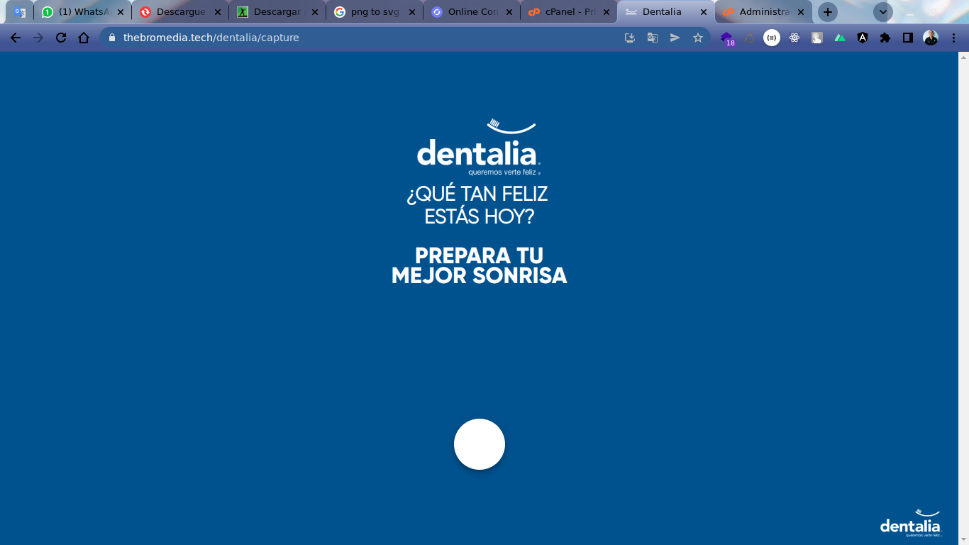 thebromedia.tech-dentalia-4